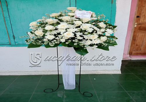 IMG-PRODUCT